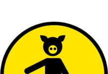 Как правильно организовать сдачу вторсырья