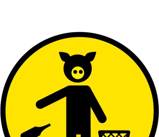 Как правильно организовать сдачу вторсырья