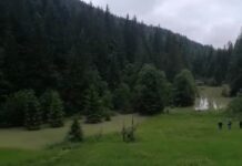 Из-за стихии в Ивано-Франковской области образовалось озеро