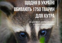 У Верховній Раді зареєстрували закон про заборону виробництва хутра