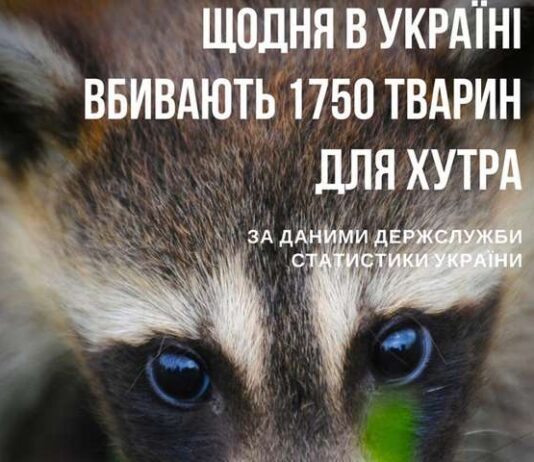 В Верховной Раде зарегистрировали закон о запрете производства меха