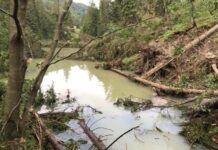Последствия стихии устраняют: на Прикарпатье спускают воду из озера, которое образовалось из-за оползней