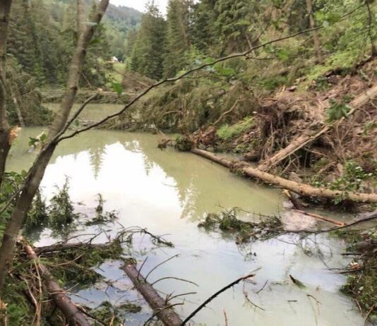 Последствия стихии устраняют: на Прикарпатье спускают воду из озера, которое образовалось из-за оползней