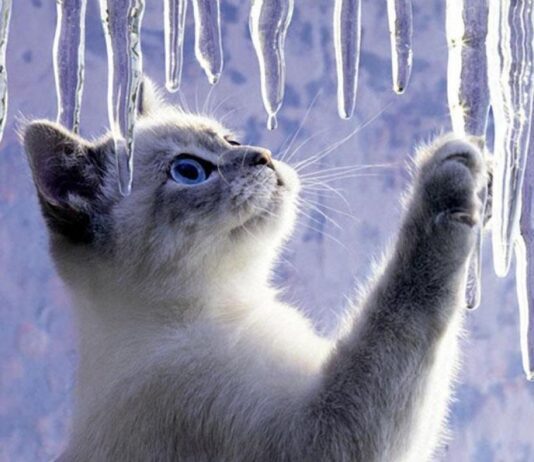 Обережно, бурульки: Як з ними боротись та не постраждати