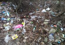 Прикарпатцев призывают убрать берега рек от мусора