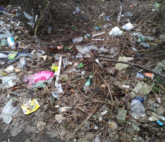 Прикарпатцев призывают убрать берега рек от мусора