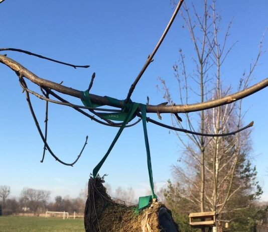 Как калушские гимназисты птиц встречали