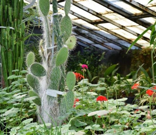 Ивано-Франковская городская детская экостанция признана наилучшим заведением в Украине