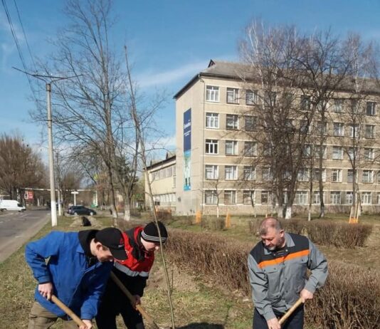 В Калуше на средства диаспоры из Лондона высадили аллею красных дубов "Сознательная молодежь"