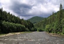 Реки Прикарпатья вошли в ТОП самых чистых в Украине