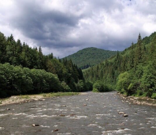 Реки Прикарпатья вошли в ТОП самых чистых в Украине