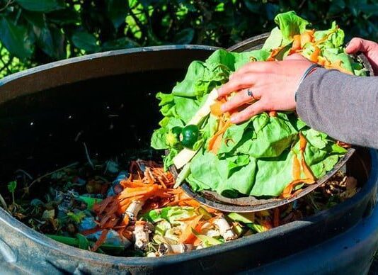 Еда в мусор: как уменьшить пищевые отходы