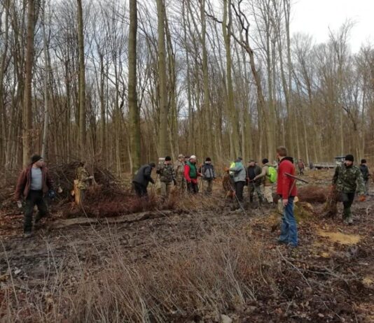 На Прикарпатье бойцы АТО засадили более гектара леса молодыми саженцами дуба и клена
