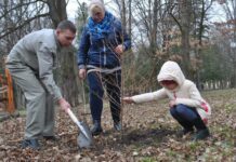 В Рогатине провели экологическую акцию «Приди и посади своё дерево»