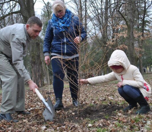 В Рогатине провели экологическую акцию «Приди и посади своё дерево»