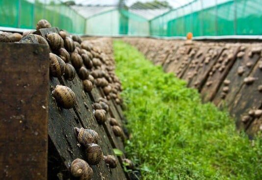 На Прикарпатье появится новый интересный экомаршрут