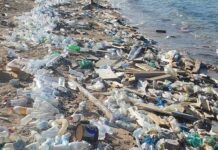 Борьба с пластиком. Соглашение международного уровня
