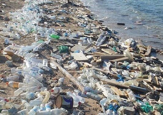 Борьба с пластиком. Соглашение международного уровня