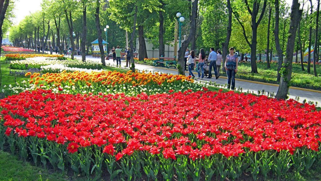 дендропарк