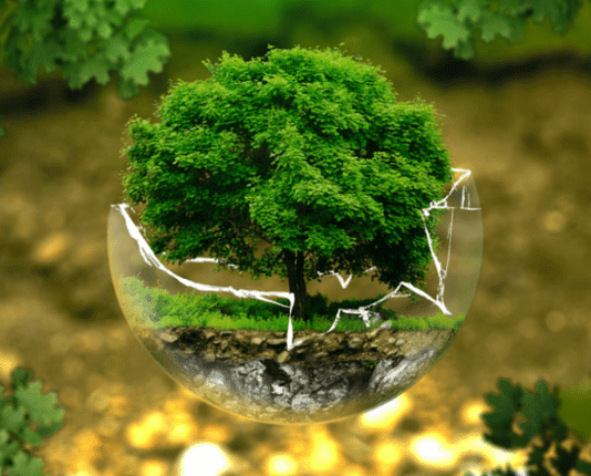 10 лет на спасение окружающей среды: в Украине принят Закон о новой экологической политики