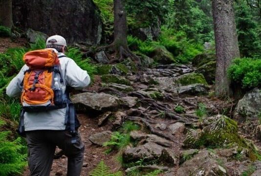 Прогулка по Карпатам с телефоном