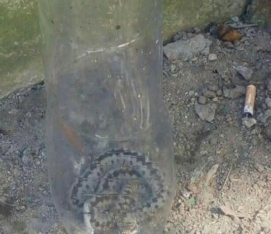 На Прикарпатье мужчина нашел под дверью змею