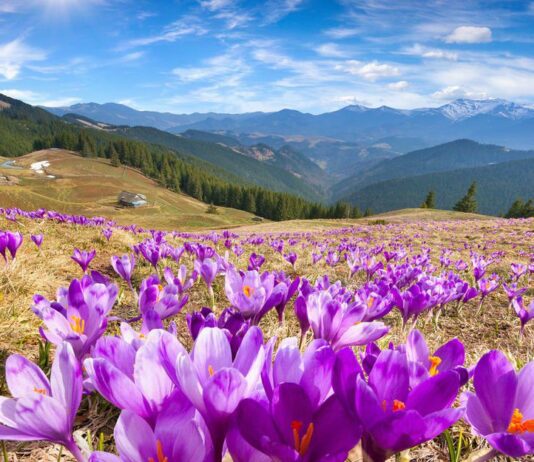 7 туристических мест в Украине, которые стоит посетить весной