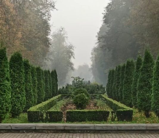 В парке Шевченко повесят камеры и будут отпугивать ворон ультразвуком