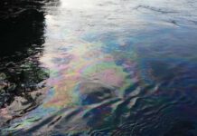 К какой катастрофе может привести разлив нефти в Надворнянскую Быстрицу