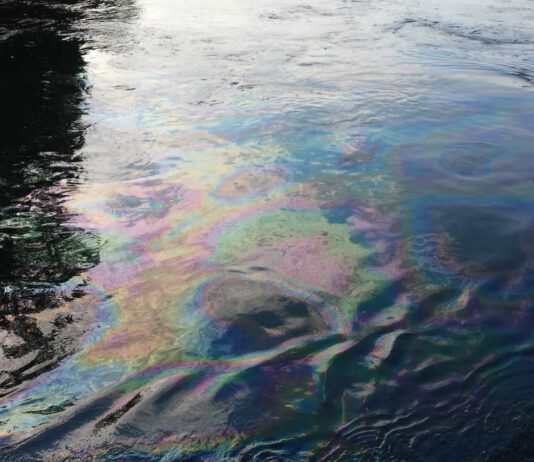 К какой катастрофе может привести разлив нефти в Надворнянскую Быстрицу