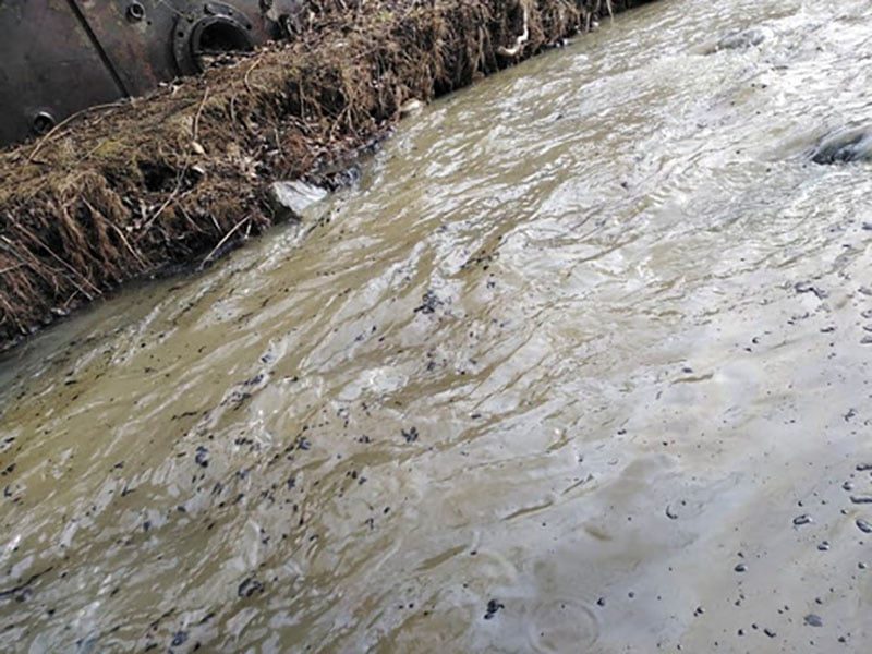 до якої катастрофи може призвести розлив нафти