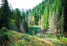 Через повінь у Карпатах зникло озеро