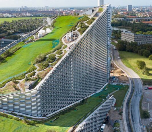 Зеленые крыши озеленят планету не хуже деревьев