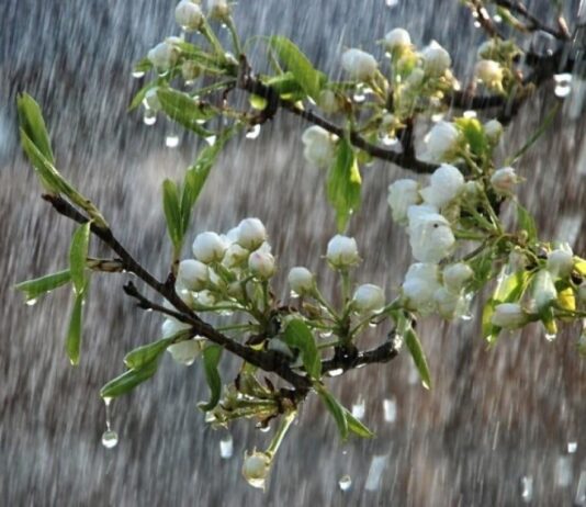 Синоптики рассказали, когда вернется тепло в Прикарпатье