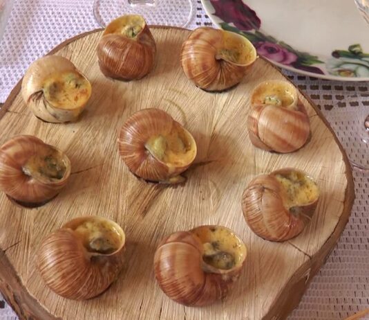 Фермы улиток на Прикарпатье