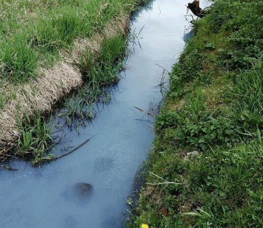 Жители Прикарпатья обеспокоены тем, что одна из рек изменила свою окраску