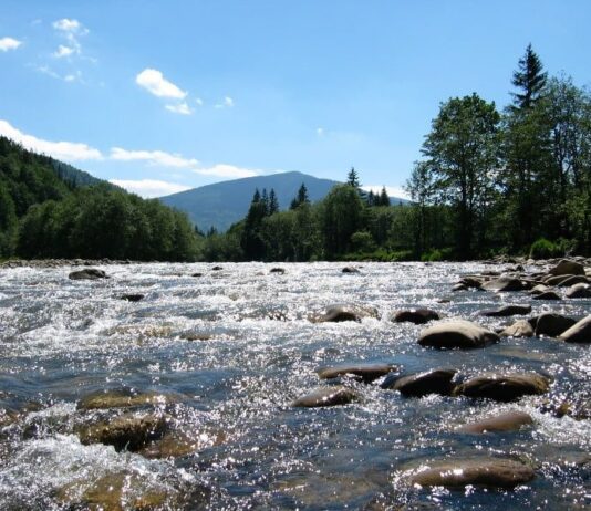 Прикарпатские нардепы просят правительство предупредить будущие наводнения в области