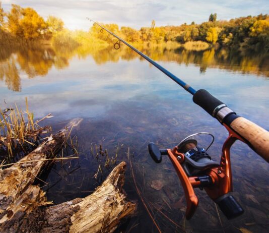 Браконьеры с удостоверениями на Прикарпатье