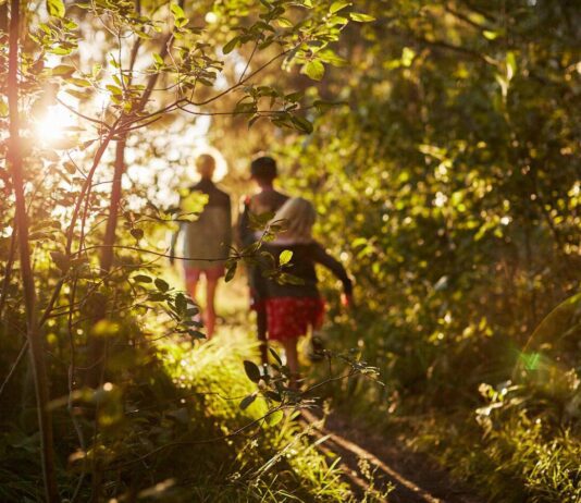 Как на примере Швеции украинцы заботятся об окружающем мире