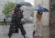 На Прикарпатье пройдут дожди и похолодает