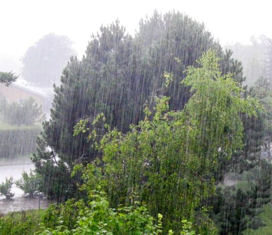 Ликвидация последствий стихии на Прикарпатье