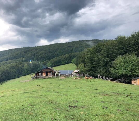 Познавательный экомаршрут: на Прикарпатье создадут новую туристическую тропу