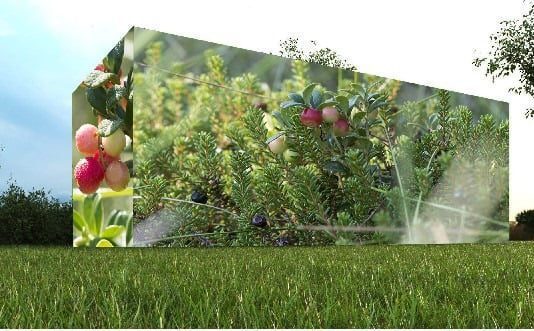 В Ивано-Франковской области создадут павильон дикой природы