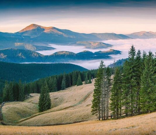 Путешествовать онлайн: увидеть природные парки Прикарпатья можно будет и виртуально