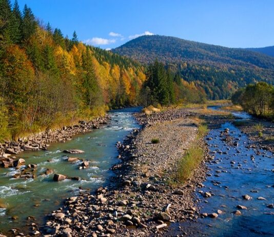 Волонтеры сняли фильм об экологии в Украинских Карпатах за собственные средства