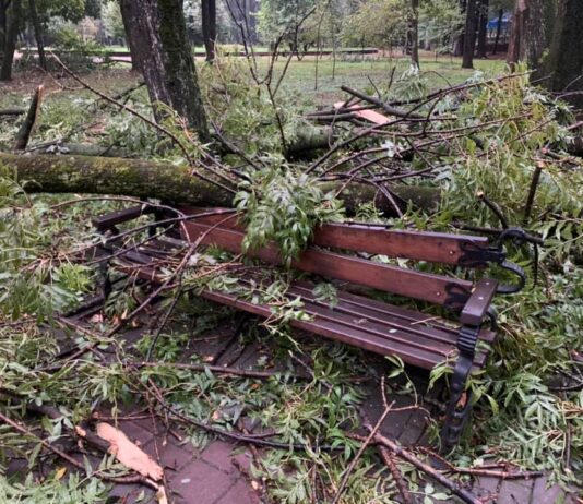 Ужасные последствия непогоды: жителей Ивано-Франковска просят воздержаться от прогулок в парке Шевченка до ликвидации последствий