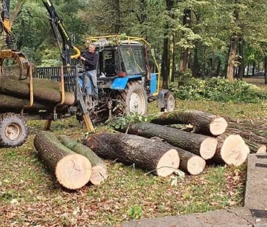 Как в Ивано-Франковске будут использовать деревья, которые повалило ненастье?