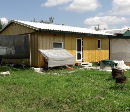 Переселенцы из Донбасса хотят создать молочную открытую ферму на своем дворе вблизи от Франковска