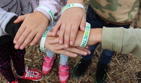 Прикарпатская экоинициатива «EcoREactive» — опыт, которым нужно делиться