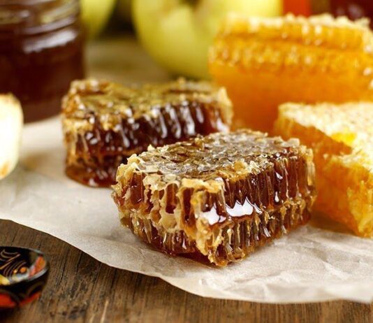 Получит географическое указание: чем уникален карпатский мед?